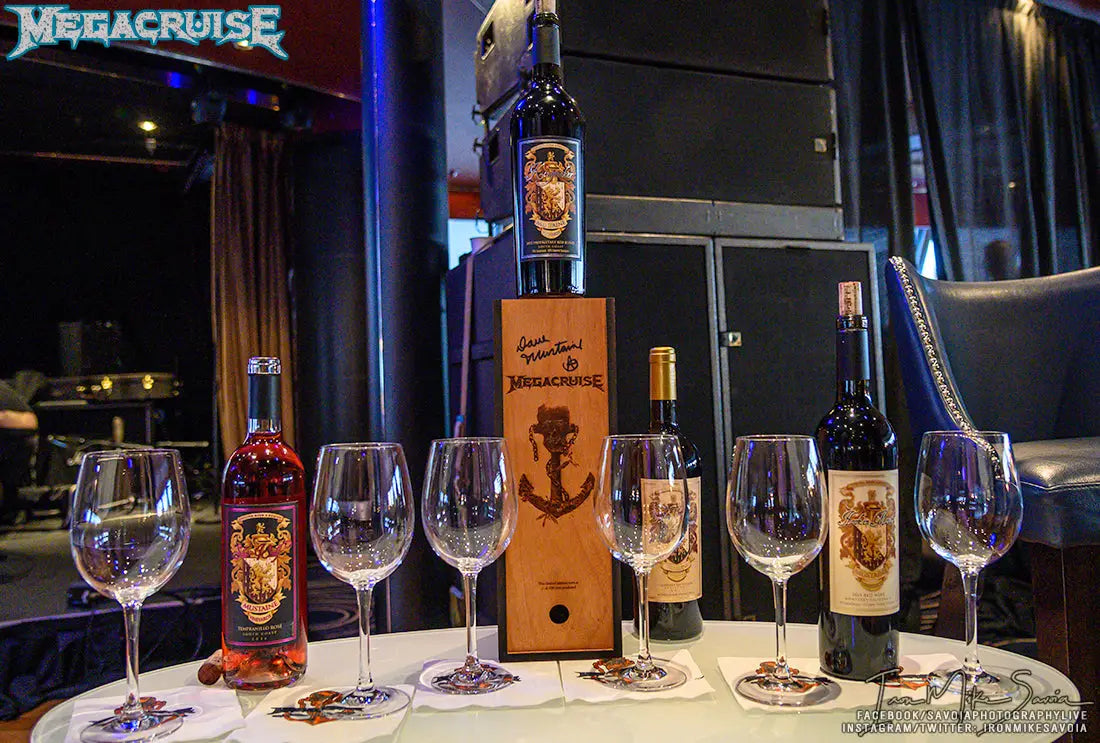 MegaCruise 2019 One-Year Anniversary