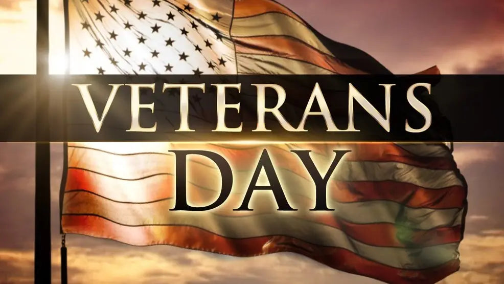 Veterans Day 101